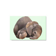 Bundle de Joy Canvas