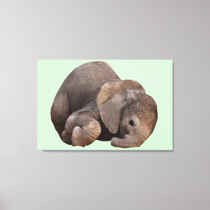 Lienzo Bundle de Joy Canvas
