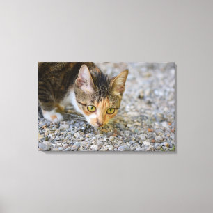 Lienzo Búsqueda de huellas