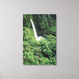 Lienzo CA, Costa Rica. Cascada La Paz y balsaminas