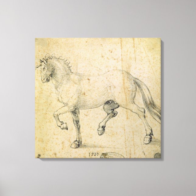 Lienzo Caballo, 1503 (pluma y tinta sobre papel) (Anverso)
