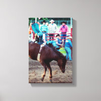 Caballo 1, Vaquero 0