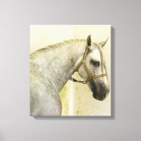Caballo andaluz gris de manzana