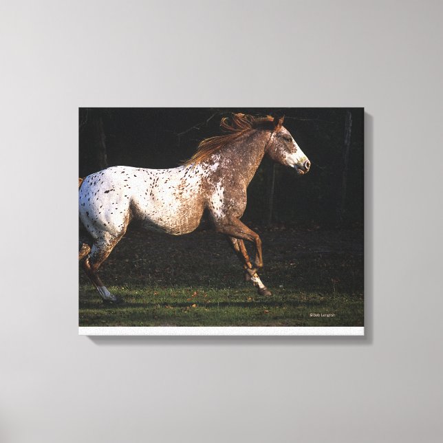 Lienzo Caballo Appaloosa Corriendo 4 (Anverso)