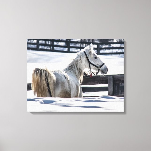 Lienzo Caballo Blanco en la Nieve (Anverso)