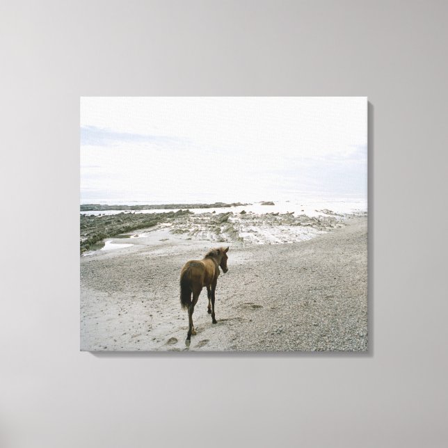 Lienzo Caballo caminando por la playa (Anverso)