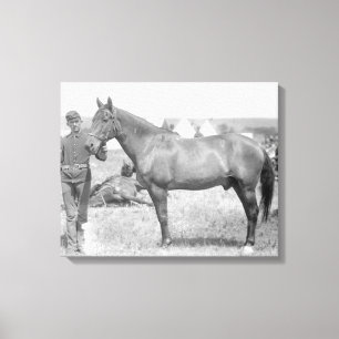 Lienzo Caballo "Comanche" el único superviviente del