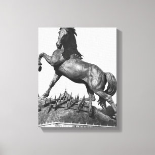 Lienzo Caballo con una grada