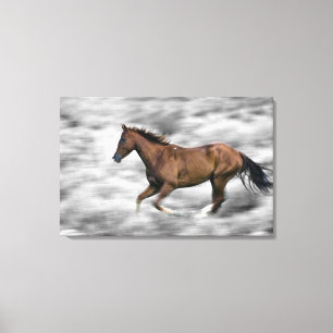 Lienzo Caballo corriente