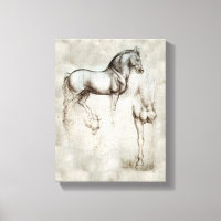 Caballo Da Vinci