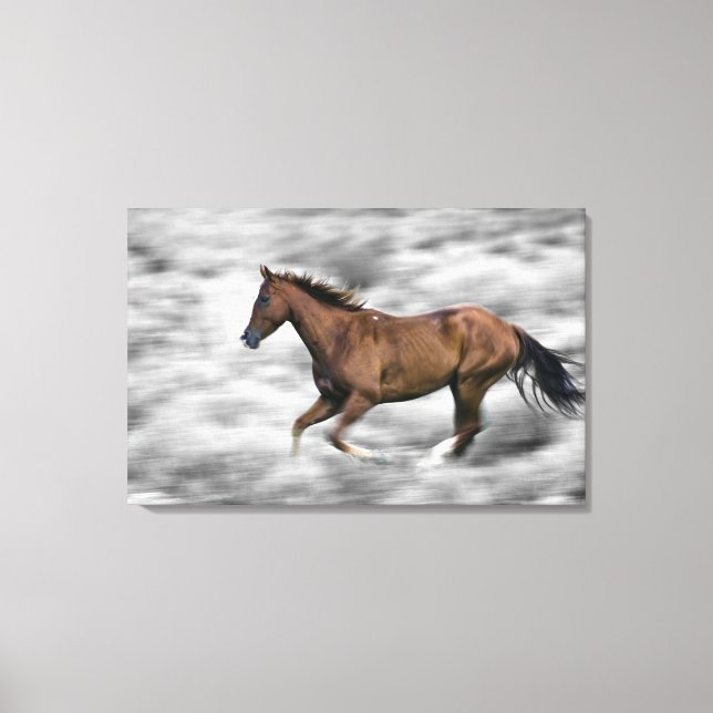 Lienzo Caballo de carreras (Anverso)