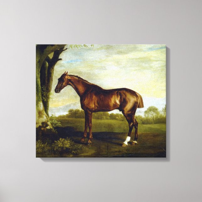Lienzo Caballo de castaño en un paisaje (George Stubbs) (Anverso)