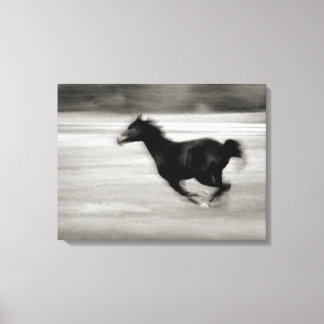 Lienzo Caballo de Gallopaje Blanco y Negro