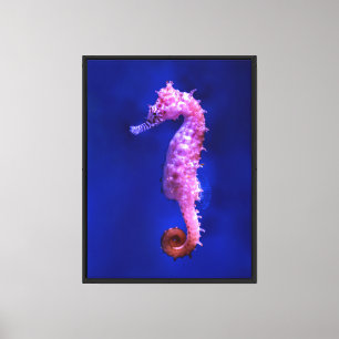 Lienzo Caballo de mar rosado en la vida marina del océano