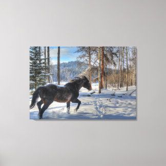 Lienzo Caballo de Percheron Negro y foto de nieve 2