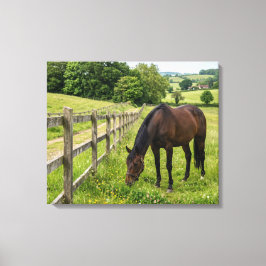 Lienzo Caballo de pradera campestre