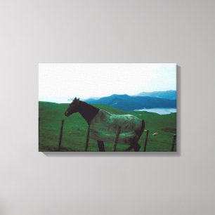 Lienzo Caballo detrás de la cerca