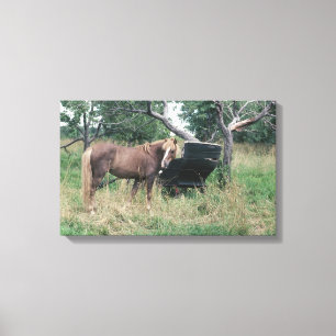 Lienzo Caballo en campo con el cochecillo