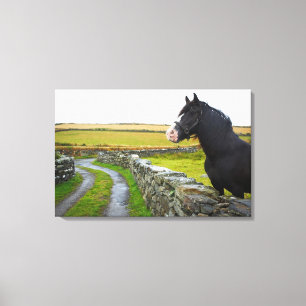 Lienzo Caballo en granja en Inglaterra rural