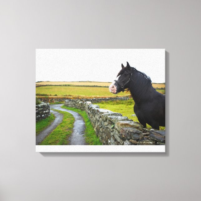 Lienzo Caballo en granja en la Inglaterra rural (Anverso)