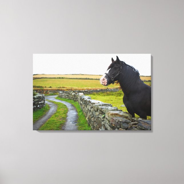 Lienzo Caballo en granja en la Inglaterra rural (Anverso)