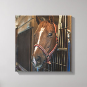 Lienzo Caballo en parada