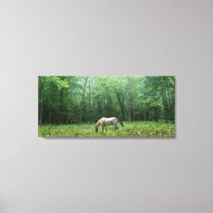 Lienzo Caballo en prado