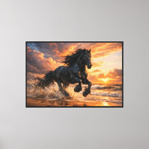 Caballo Friesian Negro en Puesta de Sol, Poderosa