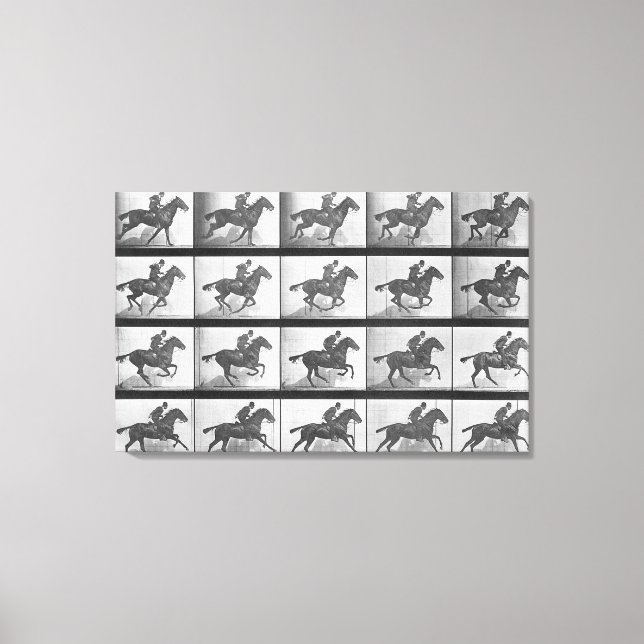Lienzo Caballo galopante, placa 628 de "Locomoción animal (Anverso)