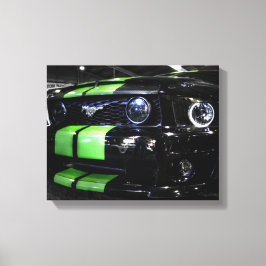 Lienzo Caballo oscuro II