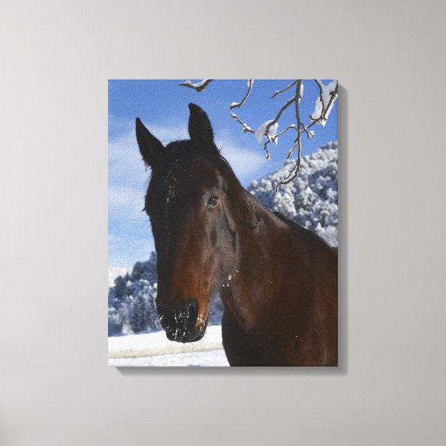 Lienzo Caballo pardo en invierno (Anverso)