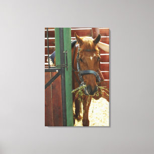 Lienzo Caballo que se coloca en un establo
