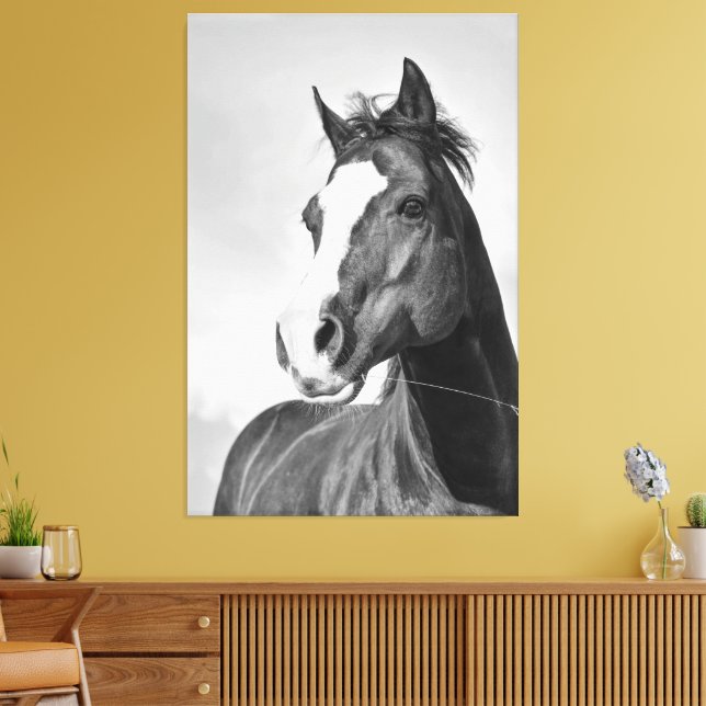 Lienzo Caballo salvaje de vintage blanco y negro (Insitu (Sala de estar))