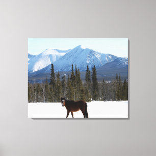 Lienzo Caballo salvaje en la carretera de Alaska