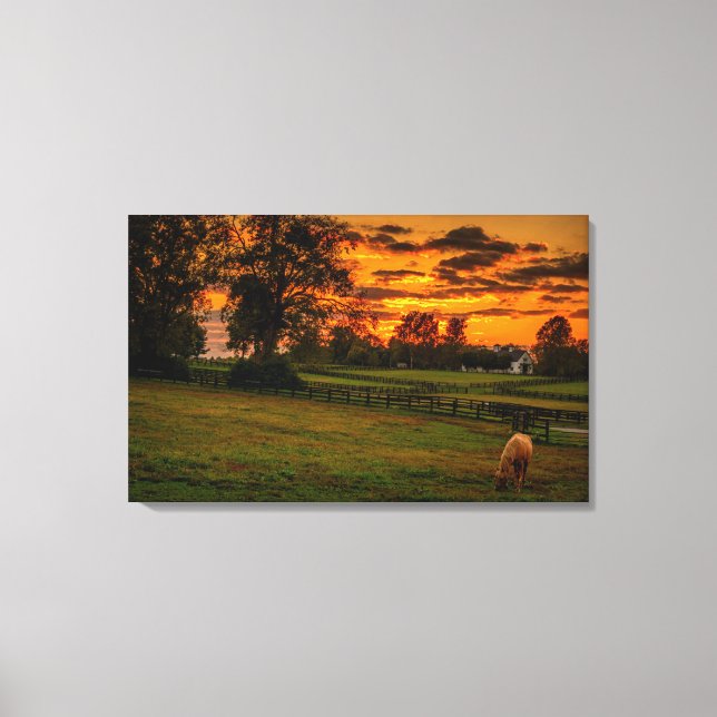 Lienzo Caballo solitario al atardecer (Anverso)