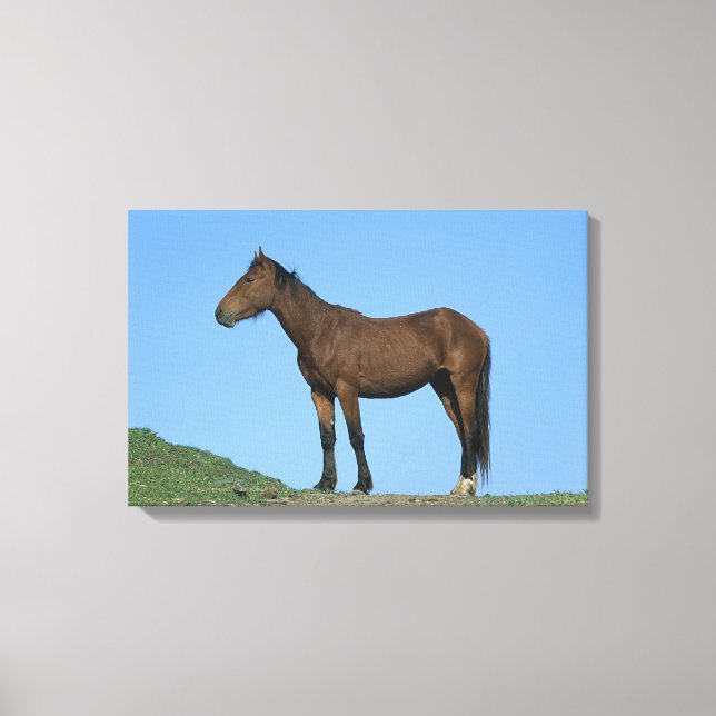 Lienzo Caballo Wild Mustang (Anverso)