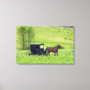 Lienzo Caballo y buggy Amish cerca de Berlín, Ohio.