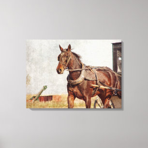 Lienzo Caballo y cochecillo de Amish