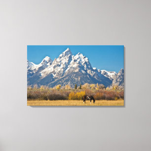 Lienzo Caballo y Grand Tetons, Rancho Moose Head