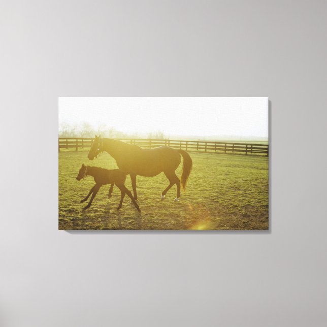Lienzo Caballo y potro corriendo en pastos (Anverso)