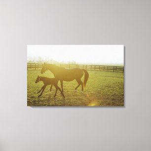 Lienzo Caballo y potro que corren en pasto