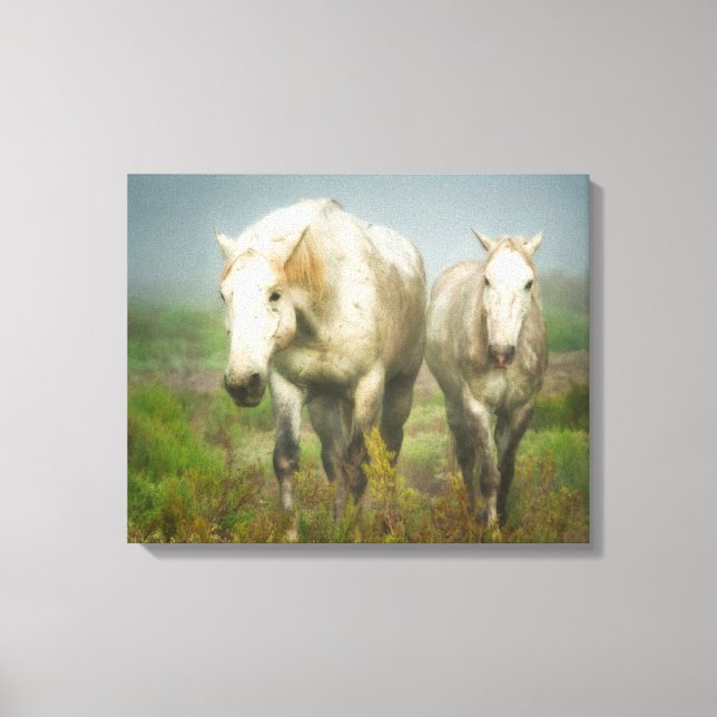 Lienzo Caballos blancos de Camargue en campo (Anverso)