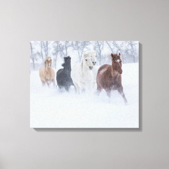 Lienzo Caballos corriendo a través de la nieve (Anverso)