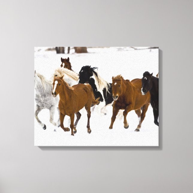 Lienzo Caballos Corriendo en The Hideout Ranch (Anverso)
