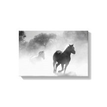 Caballos corriendo por la niebla en lata negra y b