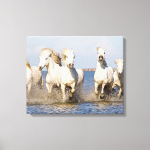 Lienzo Caballos de Camarga