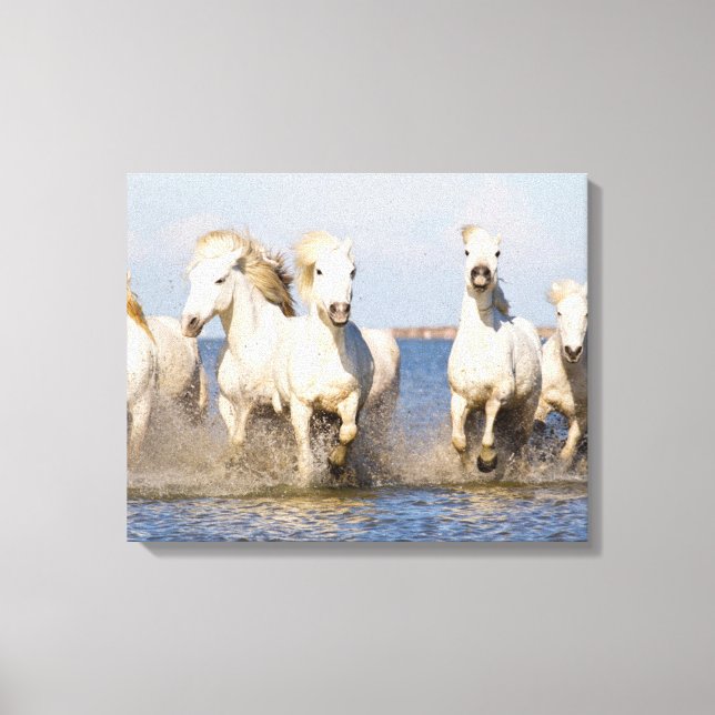 Lienzo Caballos de Camargue (Anverso)