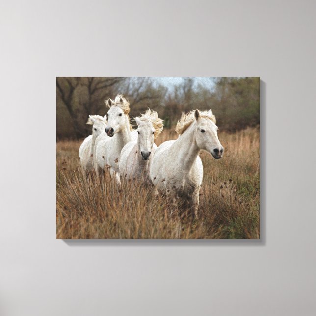 Lienzo Caballos de Camargue corriendo (Anverso)