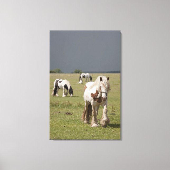 Lienzo Caballos de Clydesdale en un campo, Northumberland (Anverso)
