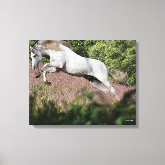 Lienzo Caballos de fantasía: Gallop de primavera (Anverso)